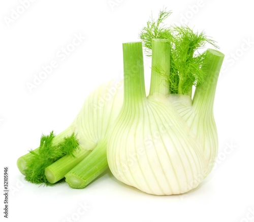 Foto: Fenchel Fenchel