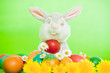 Photo: easter eggs easter eggs