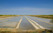 marais salant