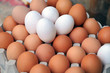 Foto: Bioeier auf dem Bauernmarkt Bioeier auf dem Bauernmarkt