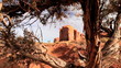 Rock & Vegetation of Monument Valley