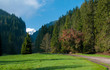 Polish Tatra mountains