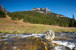 Polish Tatra mountains - Koscieliska valley