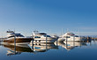 Motoryachten im Hafen bei Abendlicht