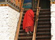 Mönch auf Treppe im Punakha Dzong, Bhutan