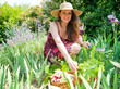 jardinage