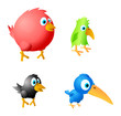 Vektor: 4 birds: red fat, green parrot, black crow and blue overage 4 birds: red fat, green parrot, black crow and blue overage