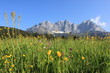 Wilder Kaiser 2