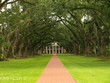 Oak Alley