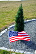 Plant a Tree for an American Soldier