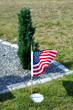 A Tree Planted for a American