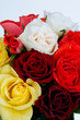 rosenstrauß closeup