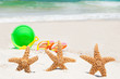 starfish on holiday