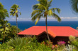 Maison créole, palmier, mer, jardin botanique, Guadeloupe