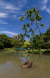 Barque dans le bassin, jardin botanique, Guadeloupe Barque dans le bassin, jardin botanique, Guadeloupe