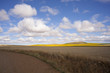 Campo