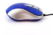 Photo: Blue Mouse Blue Mouse