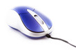 Photo: Blue Mouse Blue Mouse