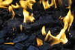 Foto: Feuer Feuer