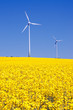 Windenergie
