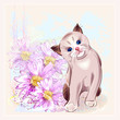 birthday card with thai kitten and gerberas