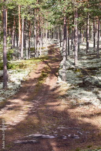 Foto: Dirt road Dirt road
