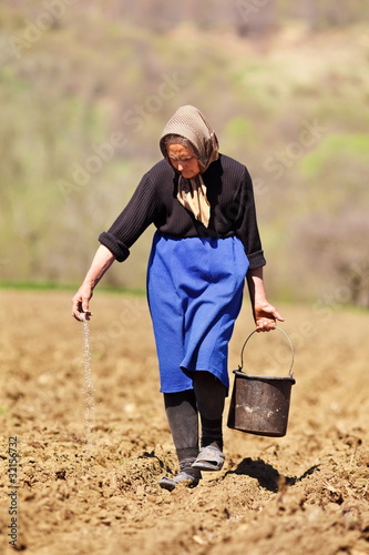 Photo: Senior woman farmer sowing Senior woman farmer sowing