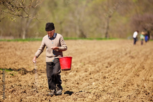 Photo: Senior farmer sowing seeds from a bucket Senior farmer sowing seeds from a bucket