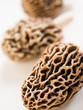 Morel Mushrooms