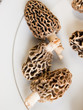 Morel Mushrooms