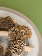 Morel Mushrooms