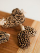 Morel Mushrooms