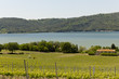 Lago di Corbara, panorama Lago di Corbara, panorama