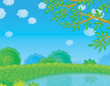 Pond in countryside