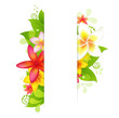 Natural Background With Flower