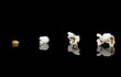 Evolution of a popcorn