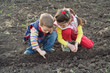 Two little children planting seeds in the field