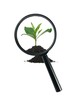 Magnifying Glass