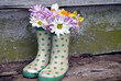 Spring Boots Spring Boots