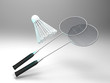 le badminton