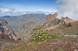 landscape scenery near pico do arieiro on madeira, portugal