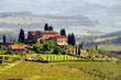 Toskana Weingut - Tuscany vineyard 03