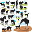 set vector farm animals silhouettes set vector farm animals silhouettes