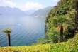 parco della villa del Balbianello - Lenno (Como)