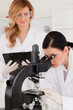 Two scientists conducting an experiment