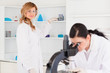 Two scientists conducting an experiment