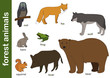 zwierzęta leśne / forest animals