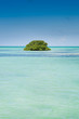 Island of mangrove green forest in a blue ocean in summer Island of mangrove green forest in a blue ocean in summer