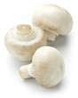 white mushroom