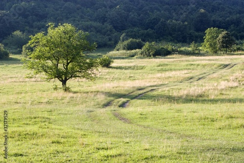 photo par Renáta Sedmáková